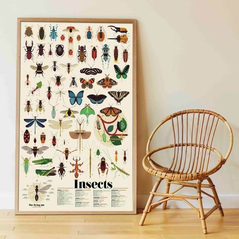 Poster en stickers insectes / activite educative - Bambins - lalaome