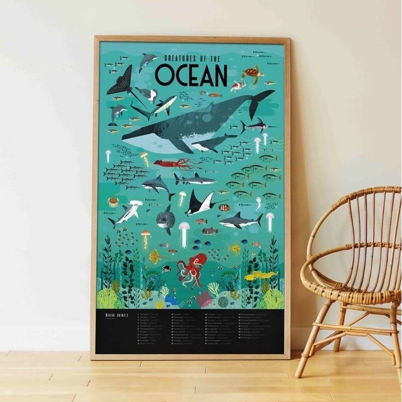 Poster en stickers oceans / activite educative - Bambins - lalaome